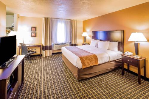 Comfort Inn & Suites Gunnison-Crested Butte - image 6