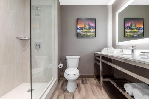 Cambria Hotel College Park - image 2
