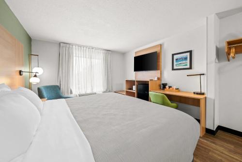 Red Roof Inn PLUS+ Orlando - Convention Center / Int'l Dr - image 12