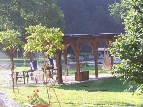 Tana Della Volpe - image 5