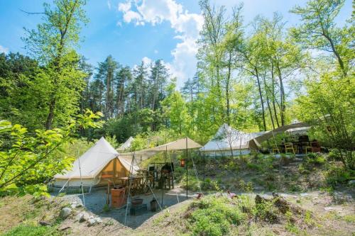 Shirasu-Ojiro FLORA Campsite in the Natural Garden - Vacation STAY 00655v