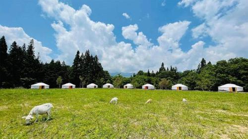 mini mongolia campsite - Vacation STAY 42128v
