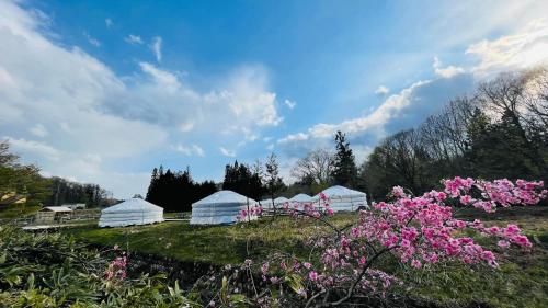 mini mongolia campsite - Vacation STAY 42129v
