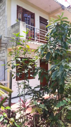 Daresh home stay in Maskeliya