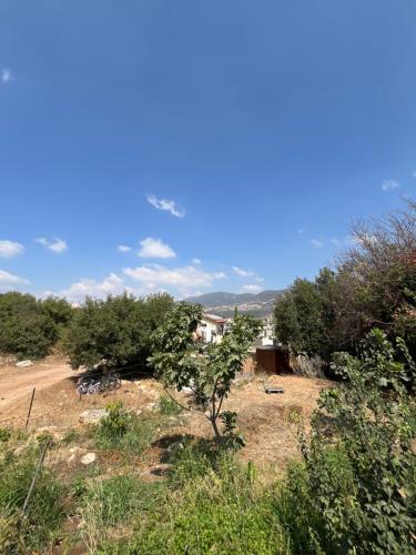 תפארת עזך, Kefar H̱ananya (Foto 5)
