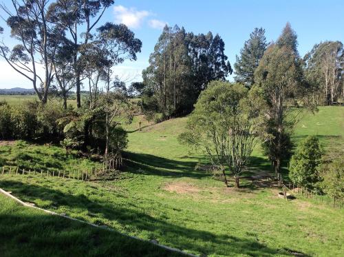 Rolling Hills Country Stay B&B - Accommodation - Tauranga