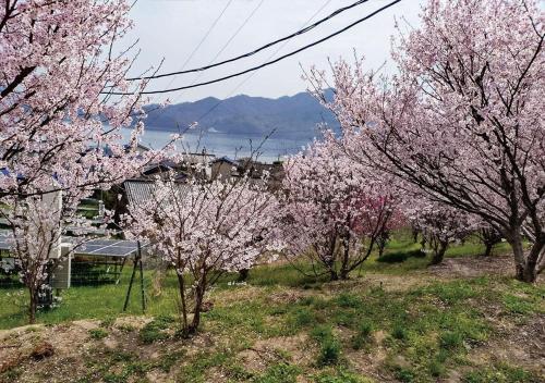 Hitotsuru Setouchi Glamping - Vacation STAY 68977v