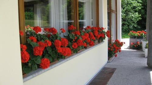 Hotel Dante 4