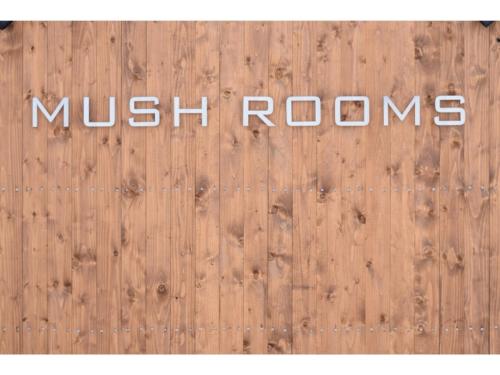 MUSH ROOMS - Vacation STAY 75024v
