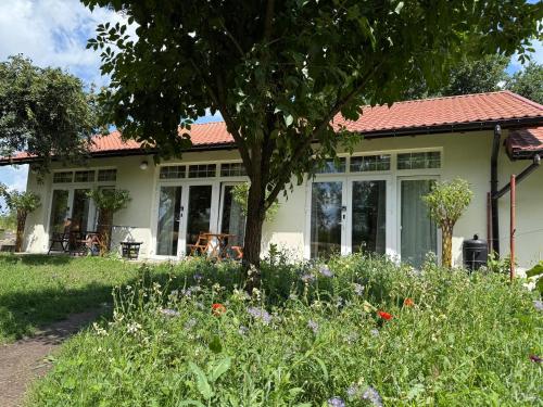 Apartamenty i Winnica - Siedlisko Na Polanie in 華索禾
