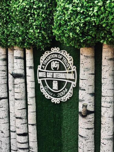 Hotel Galy International