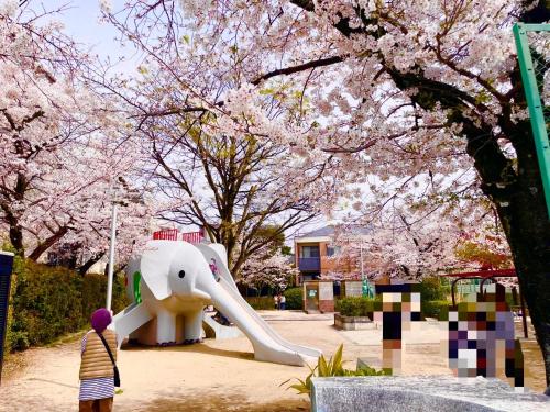 Sakura Apartment - Vacation STAY 17178