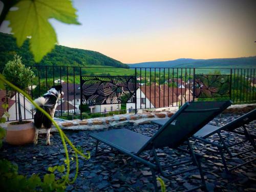 Balkon/teras, Le chalet du Hibou in Rouffach
