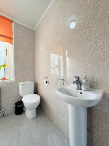 Lovely Maindoor flat at Murrayfield with Gardens, Эдинбург (фото 10)