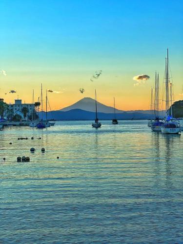 ABURATSUBO BEKKAN - Vacation STAY 17571