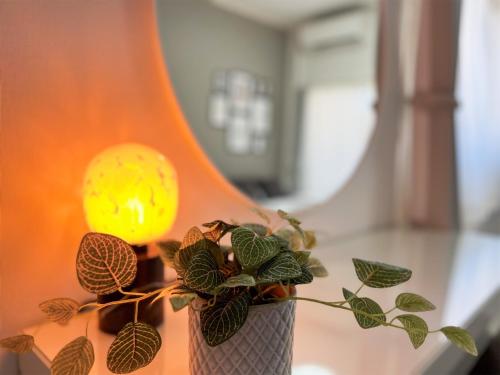 Lion Heiwa Odori - Vacation STAY 17954
