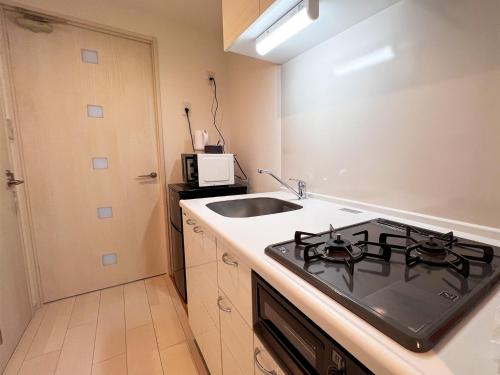 Lion Heiwa Odori - Vacation STAY 17937