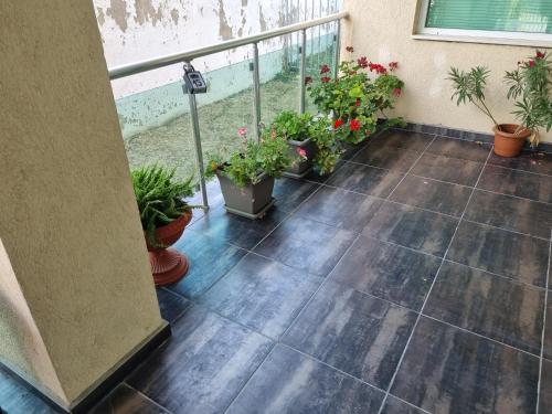 Apartament Black Sea Meadows in 比亞拉