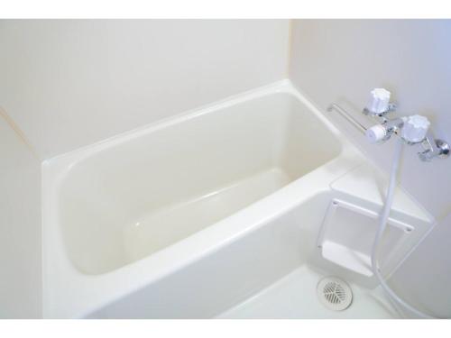 City Petrushka - Vacation STAY 18111