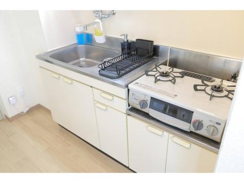 City Petrushka - Vacation STAY 18111