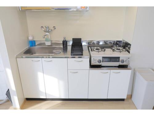 City Petrushka - Vacation STAY 18112