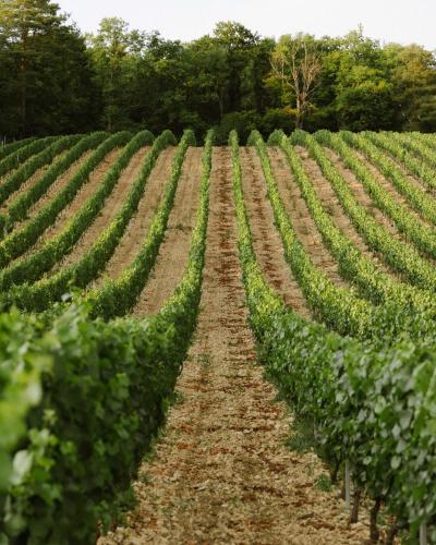 周邊環境, Pavillon de l'octroi du Château de Tavannes (Pavillon de l'octroi du Chateau de Tavannes) in 塞納河畔艾塞