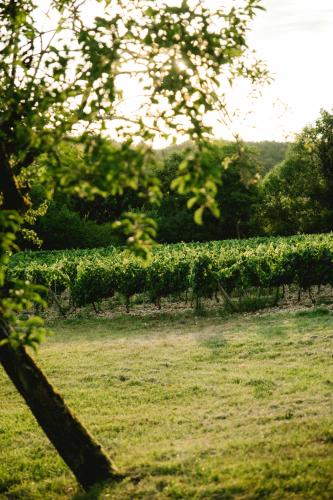 周邊環境, Pavillon de l'octroi du Château de Tavannes (Pavillon de l'octroi du Chateau de Tavannes) in 塞納河畔艾塞