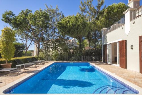 Belinha - PINHEIROS ALTOS in Ludo