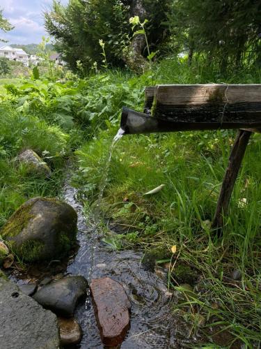 Жива вода, Scheschory (Foto 2)