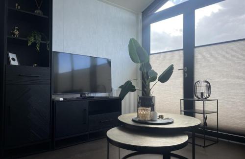 Shared lounge/TV area, Vakantiepark de Zeeuwse Parel - Zeeparel in Verspreide huizen Scherpenisse