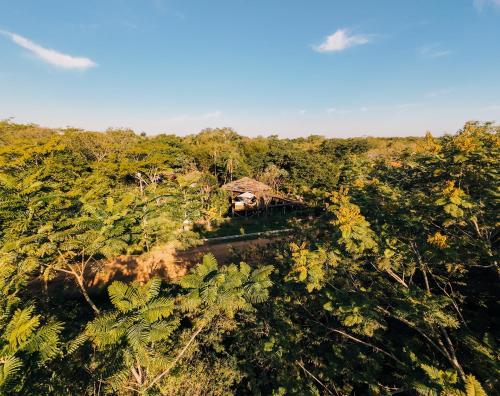 花園, Tava Glamping Lago in 聖伯納迪諾