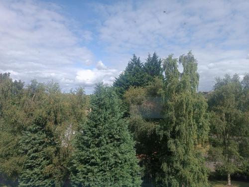 Modern Three-Bedroom Apartment in Leafy West End with Private Parking, Glasgow (photo 8)