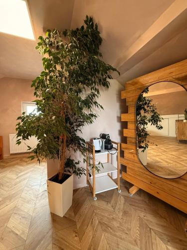 Apartament pod miastem