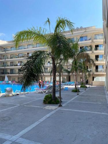 Swimming pool, Sunshine Resort - Tabarja, Lebanon in Wata Slam