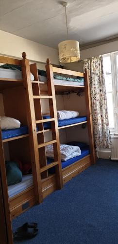 Barmy Badger Backpackers – London