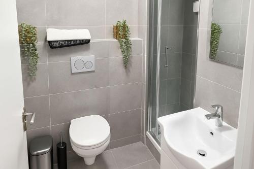 City Apartment Prime Dublin City Centre Dominic Street LUAS OConnell Street - image 2