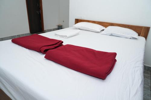 Garcinia Villa in Sirsi