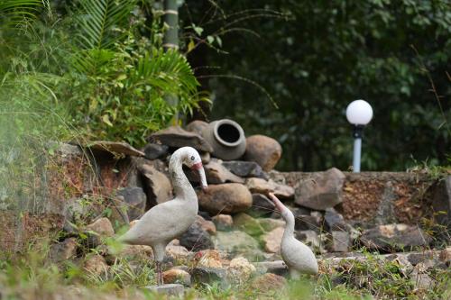 Garcinia Villa in Sirsi