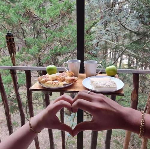 Despierta En El Arbol Desayuno Americano a tu ritmo somos Petfriendly in Pesca
