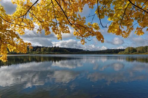 Skats, Zum Seeweiher in Alpenrod