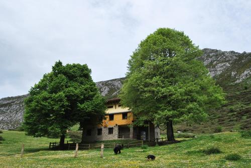 Albergue Fayacava in Rozadas