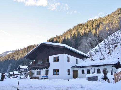 Apartment in Dienten near Ski Lift