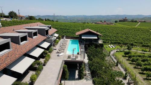 VINEHO, Barolo (foto 9)