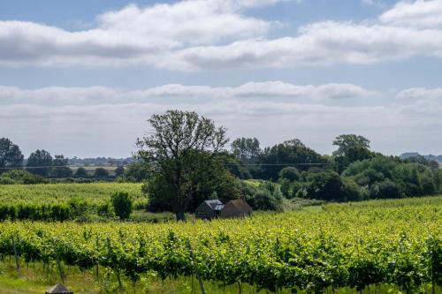 Instalaciones, Glebe Cottage in Tenterden