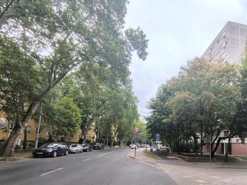 Zafir Garzon in Adyvaros