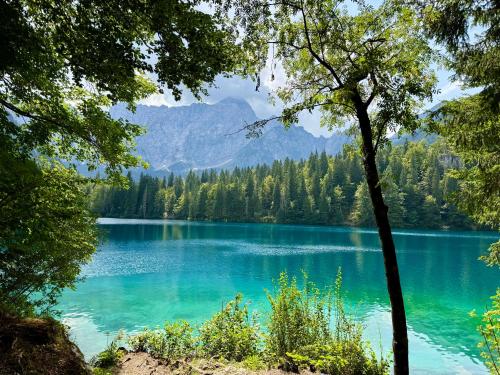  Cosy and Stylish Apartment near Faaker See in Latschach