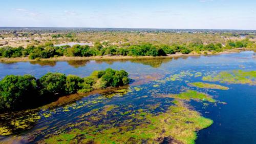 Kashete Campasite- Okavango Eastern Panhandle in Shakawe