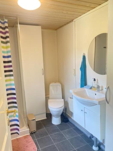 Ålevænget 1 (Alevænget 1) in Skals