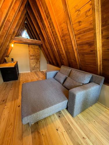 The little house of the forest