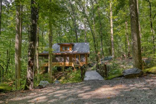 Multiple cabins at Cabin Fever, Saluda (photo 3)